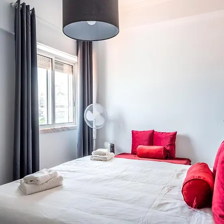 Akicity Ameixoeira Indigo Lisbon