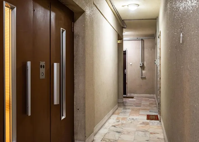 Akicity Ameixoeira Indigo Daire *