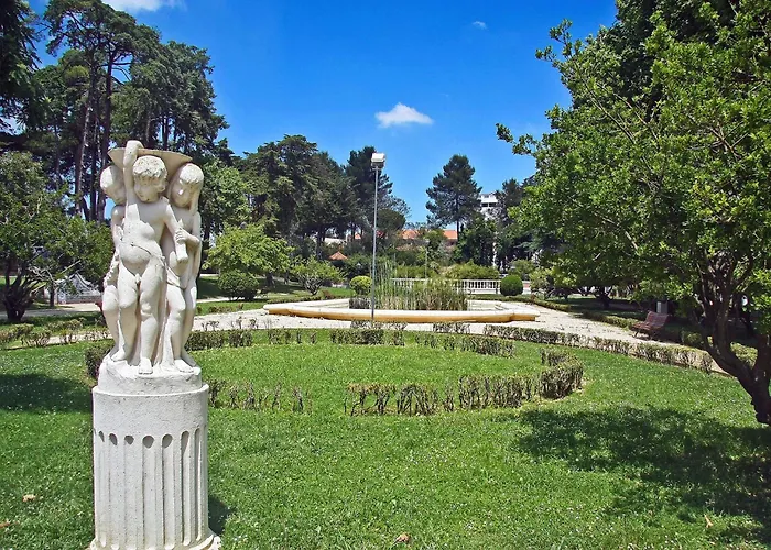 Akicity Ameixoeira Indigo *