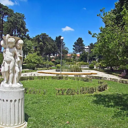 Akicity Ameixoeira Indigo *